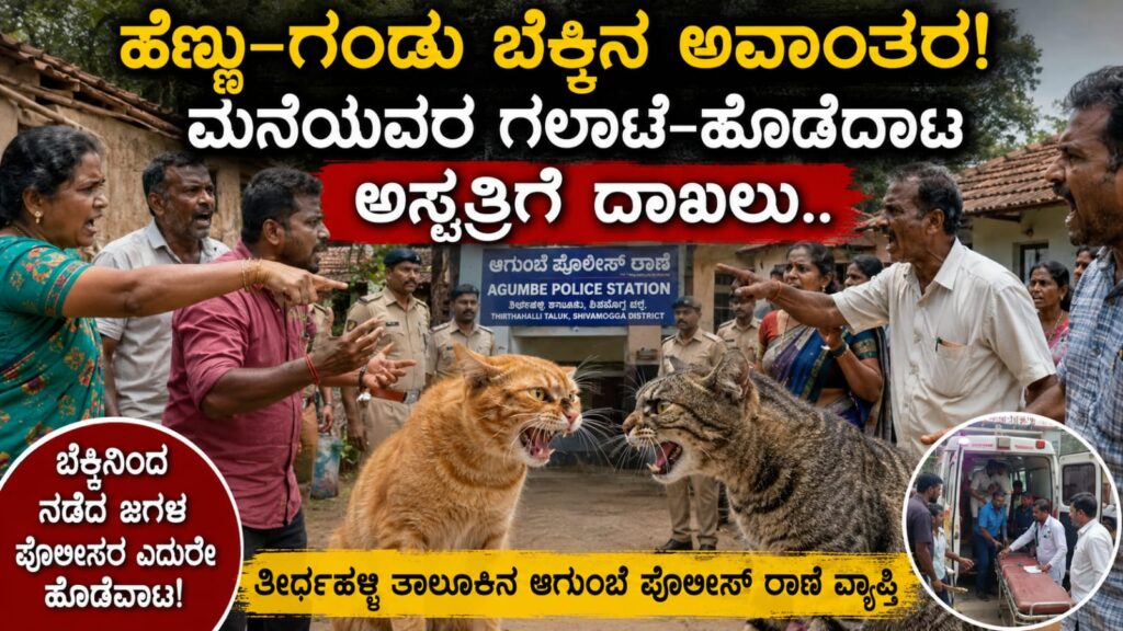 cat dispute fight between families in thirthahalli: ಹೆಣ್ಣು-ಗಂಡು ಬೆಕ್ಕಿನ ಅವಾಂತರದಿಂದ ಎರಡು ಕುಟುಂಬಗಳ ನಡುವೆ ಗಲಾಟೆ, ಪೊಲೀಸರ ಎದುರೇ ಹೊಡೆದಾಟ, ಆಸ್ಪತ್ರೆಗೆ ದಾಖಲು
