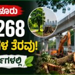 ಬೆಂಗಳೂರು ನಗರದಲ್ಲಿ ರಸ್ತೆ ಅಭಿವೃದ್ಧಿ ಕಾಮಗಾರಿಗಾಗಿ ತೆರವುಗೊಳಿಸಲಾಗುತ್ತಿರುವ ಮರಗಳು