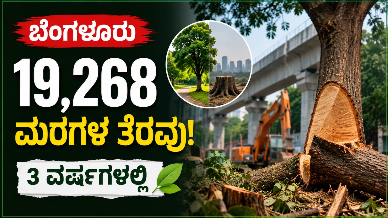 ಬೆಂಗಳೂರು ನಗರದಲ್ಲಿ ರಸ್ತೆ ಅಭಿವೃದ್ಧಿ ಕಾಮಗಾರಿಗಾಗಿ ತೆರವುಗೊಳಿಸಲಾಗುತ್ತಿರುವ ಮರಗಳು