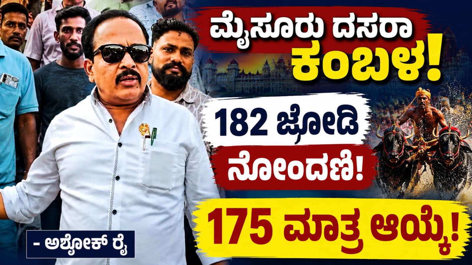ಮೈಸೂರು ದಸರಾ ಕಂಬಳ ಕ್ರೀಡೋತ್ಸವ ಕುರಿತು ಮಾತನಾಡುತ್ತಿರುವ ಕಾಂಗ್ರೆಸ್ ಶಾಸಕ ಅಶೋಕ್ ರೈ. ಈ ಬಾರಿ 182 ಜೋಡಿ ಕೋಣಗಳು ನೋಂದಣಿಯಾಗಿದ್ದು, 175 ಜೋಡಿಗಳನ್ನು ಆಯ್ಕೆ ಮಾಡಿ ಸ್ಪರ್ಧೆ ಆಯೋಜಿಸಲಾಗುವುದು ಎಂದು ಮಾಹಿತಿ ನೀಡಿದ್ದಾರೆ.